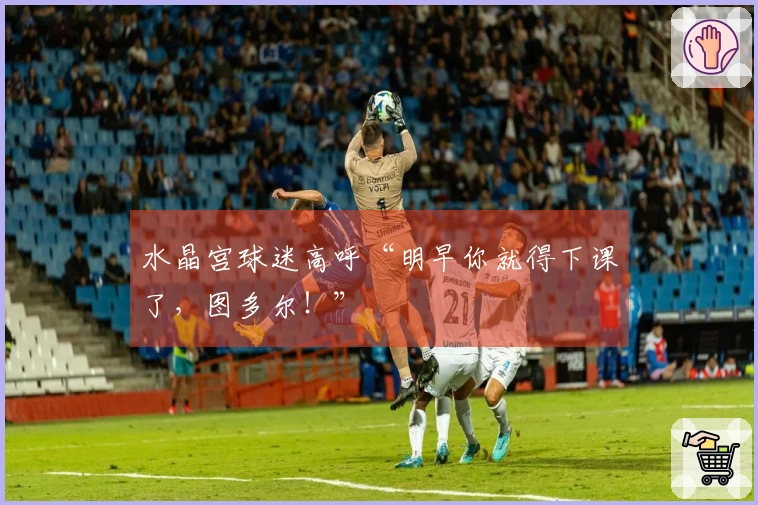 水晶宫球迷高呼“明早你就得下课了，图多尔！”