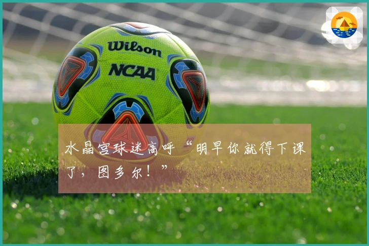 水晶宫球迷高呼“明早你就得下课了，图多尔！”